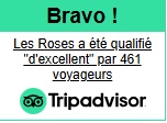 TripAdvisor picture